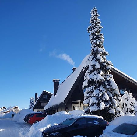 Ferienhaus-Schönwald im Herzen des Schwarzwaldes 2-Zimmer-Wohnung mit großer Terrasse App 15 Exterior foto