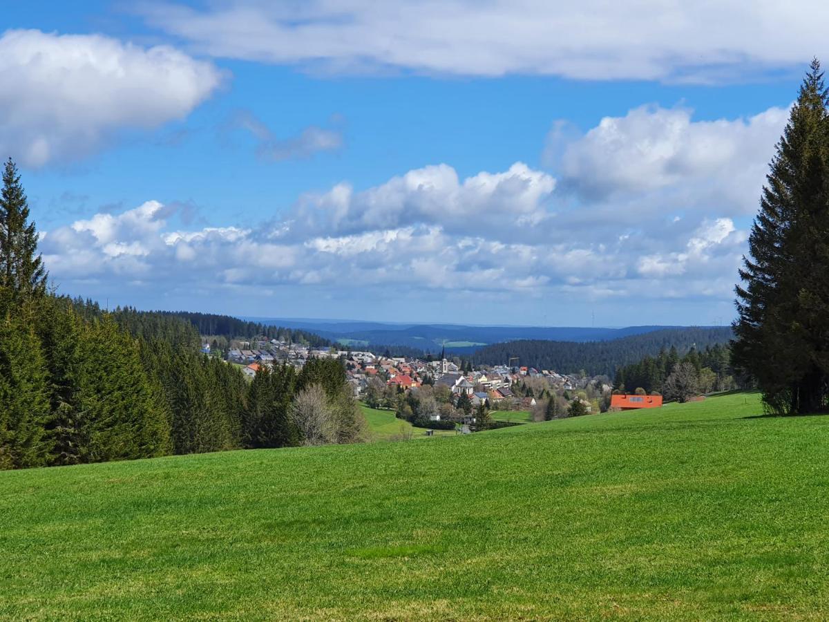 Ferienhaus-Schönwald im Herzen des Schwarzwaldes 2-Zimmer-Wohnung mit großer Terrasse App 15 Exterior foto